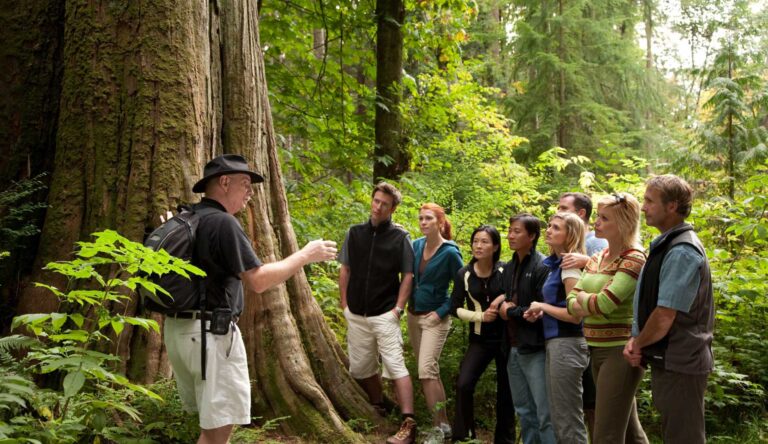 You can tap into premium eco-tourism travel grants to explore developing regions, contribute to conservation, and gain unforgettable experiences—without breaking the bank.